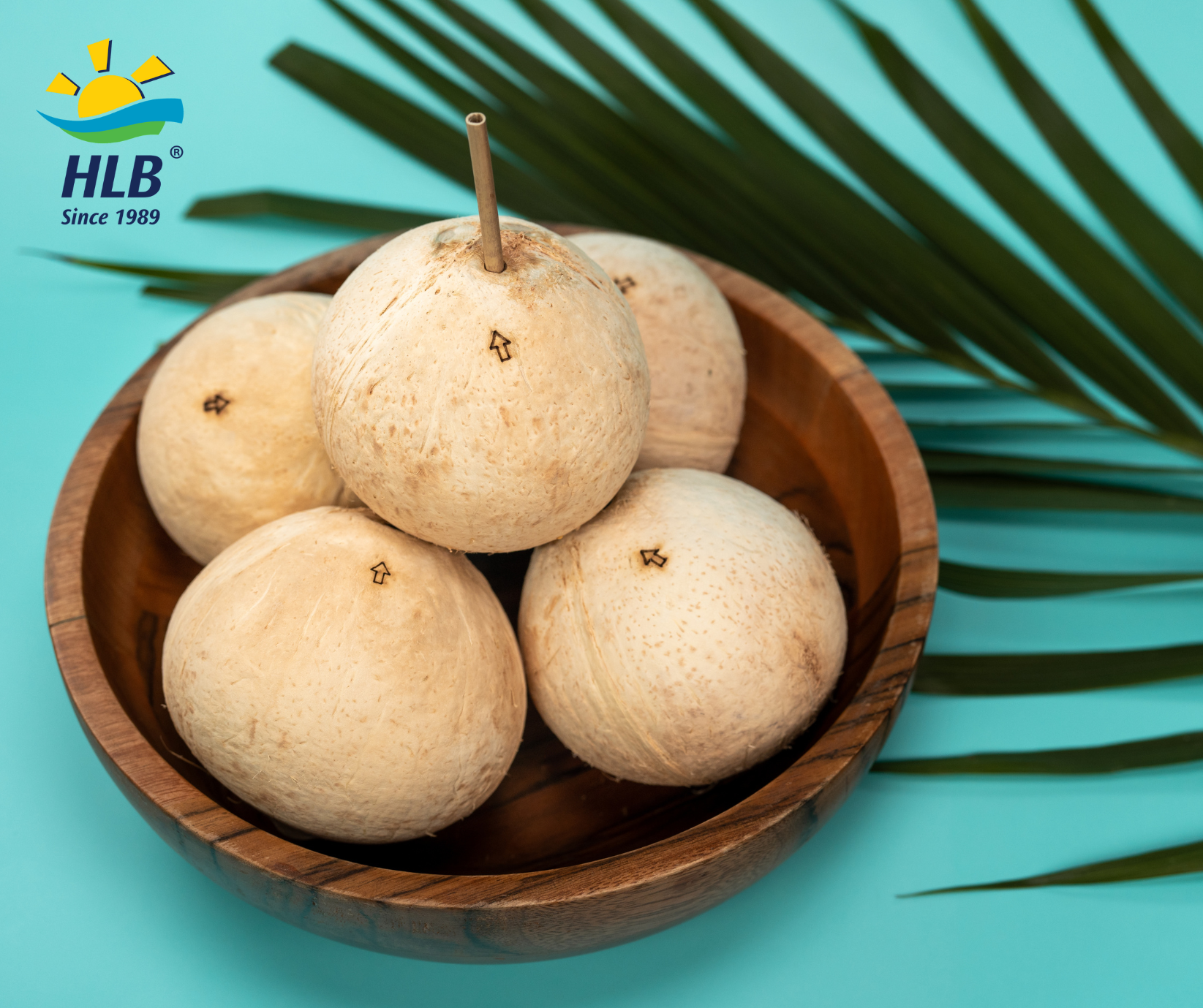 Coconut Bowl