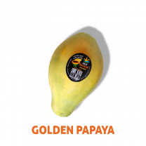 HLB GOLDEN PAPAYA
