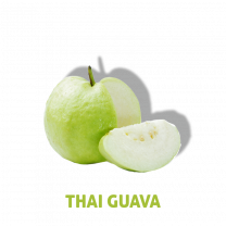 HLB-THAI-GUAVA-H